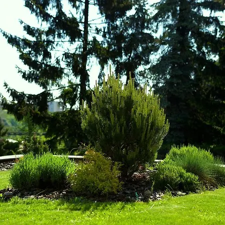 Penzion Falconi Kolín