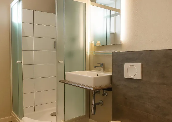 Falconi Pensionat 3*